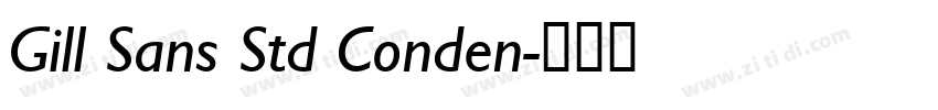 Gill Sans Std Conden字体转换